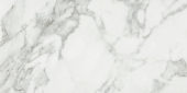 Luxury Arabescato Verona 12X24 Honed | Marino Tile NY