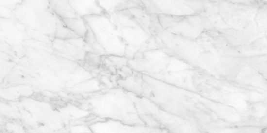 Plata 12x24 Carrara Abisso Polished | Marino Tile NY