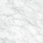 Plata 24x24 Carrara Abisso Polished | Marino Tile NY