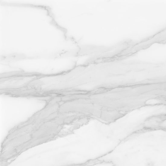 Plata 24x24 Statuario Brina Matte | Marino Tile NY