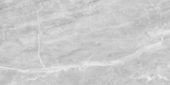 Plata 24x48 Perla Grigia Matte | Marino Tile NY