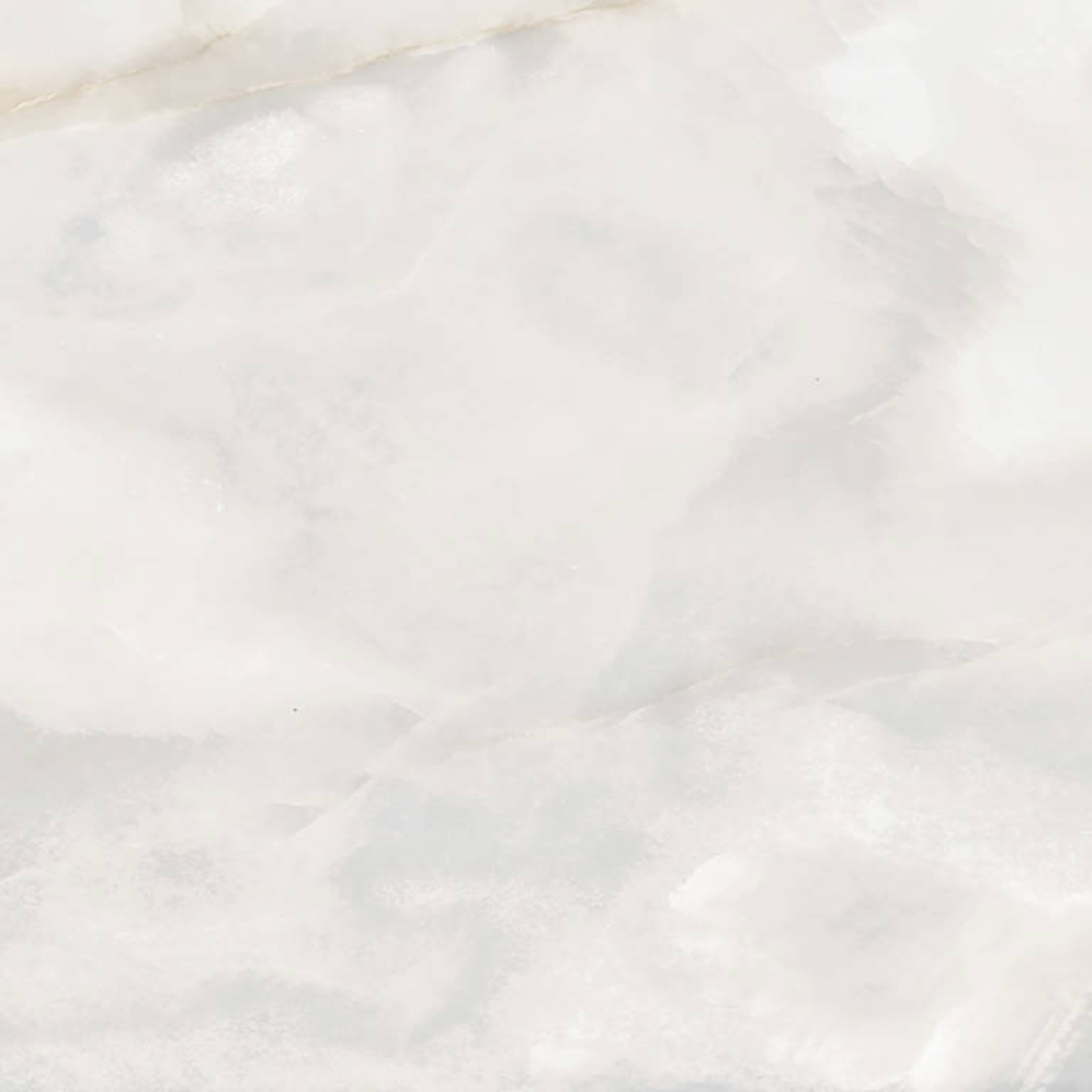 Rendezvous White Polished 24x24 | Marino Tile NY
