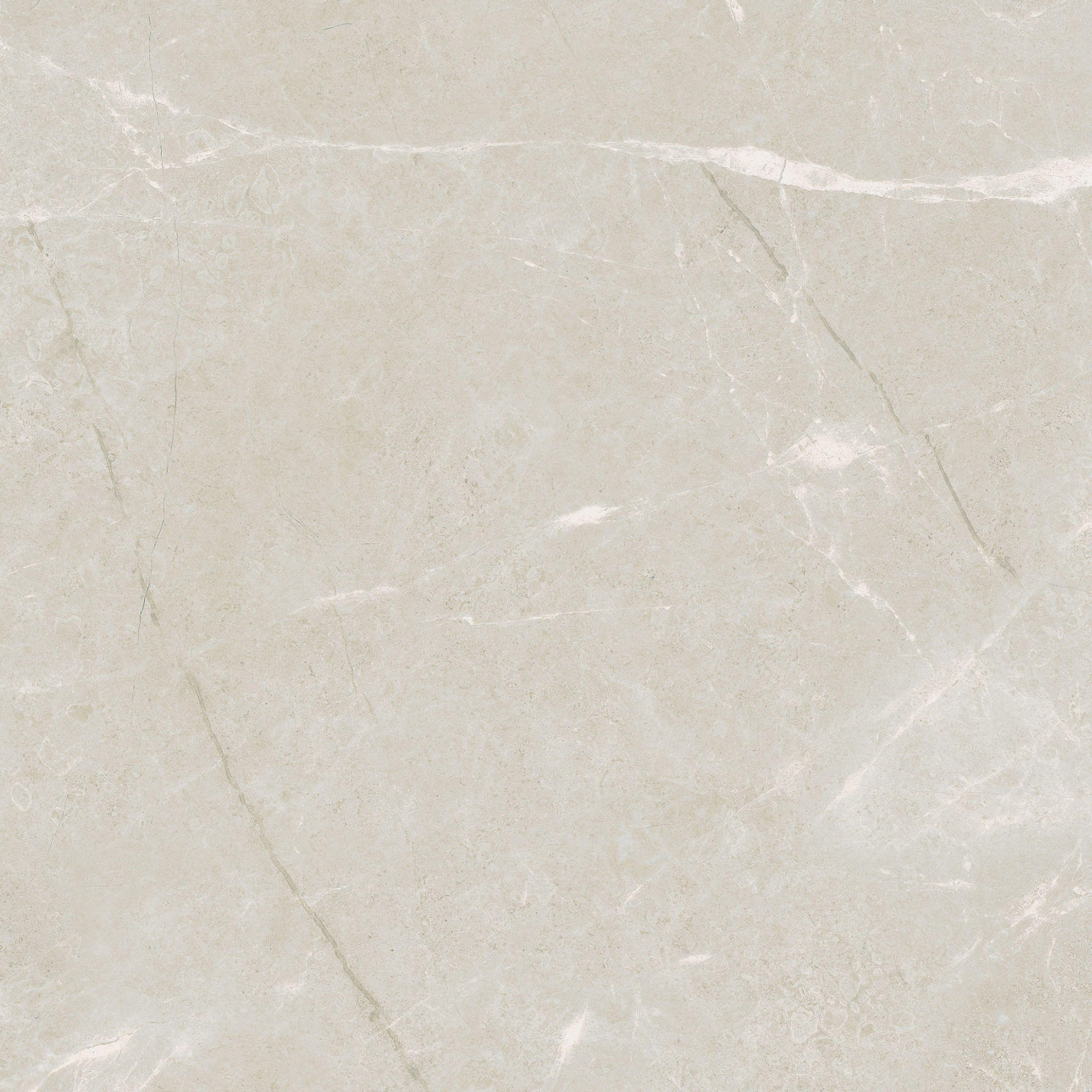 Torino 20x20 Avorio | Marino Tile NY
