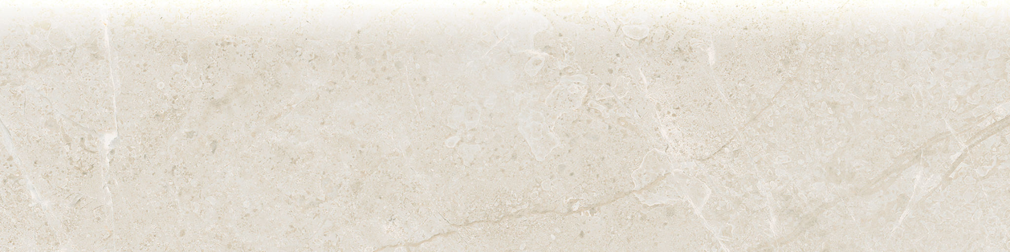 Torino 3x12 Avorio Bullnose | Marino Tile NY