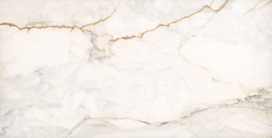 Treasure II Perfect Calacatta 12x24 Polished | Marino Tile NY