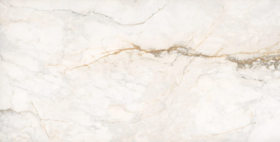 Treasure II Perfect Calacatta 24x48 Polished | Marino Tile NY
